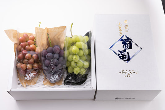 2026年産 シャインマスカット+限定品種詰合せ 約2kg(2〜4房)クール便 贈答用化粧箱
