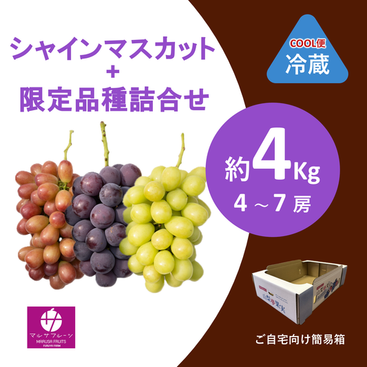 2026年産 シャインマスカット+限定品種詰合せ 約4kg（4〜7房）クール便 簡易箱