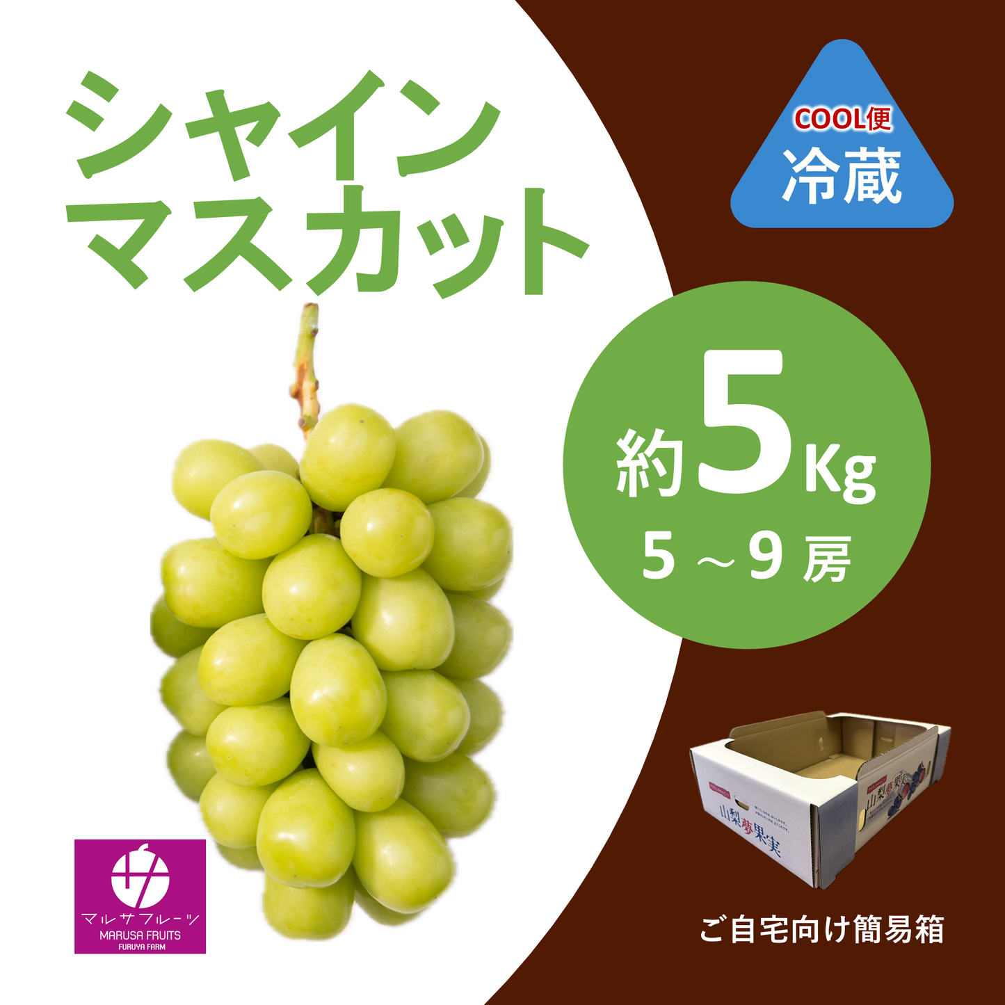 2026年産 シャインマスカット 約5kg（5〜9房）クール便 簡易箱