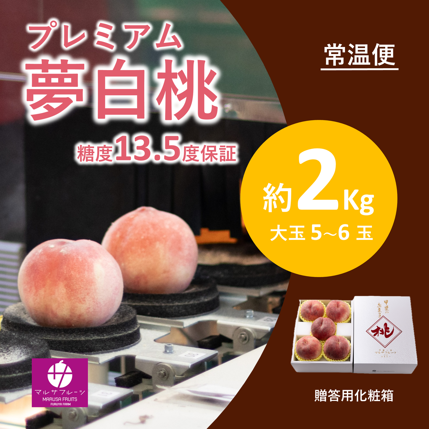 2026年産【糖度保証】プレミアム夢白桃 約2kg（特々大玉5〜6玉）常温便 贈答用化粧箱