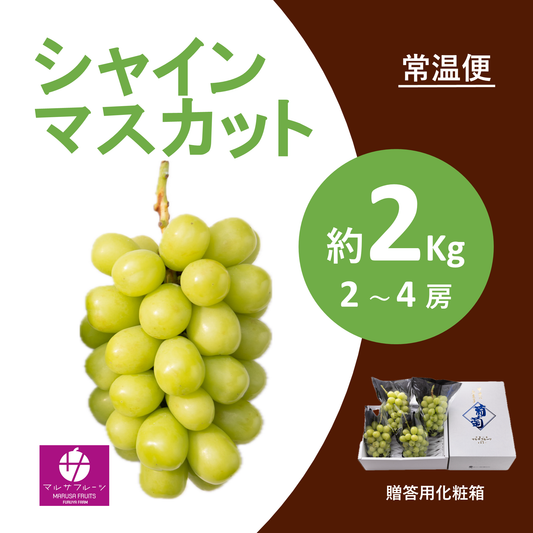 2026年産 シャインマスカット 約2kg（2〜4房）常温便 贈答用化粧箱