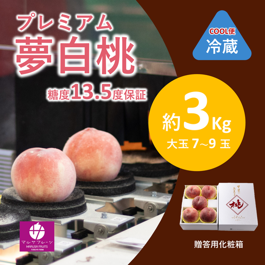 2026年産【糖度保証】プレミアム夢白桃 約3kg（特々大玉7〜9玉）クール便 贈答用化粧箱