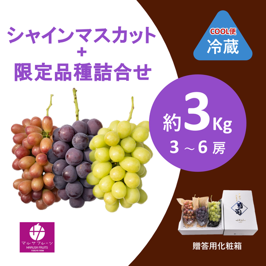 2026年産 シャインマスカット+限定品種詰合せ 約3kg（3〜6房）クール便 贈答用化粧箱