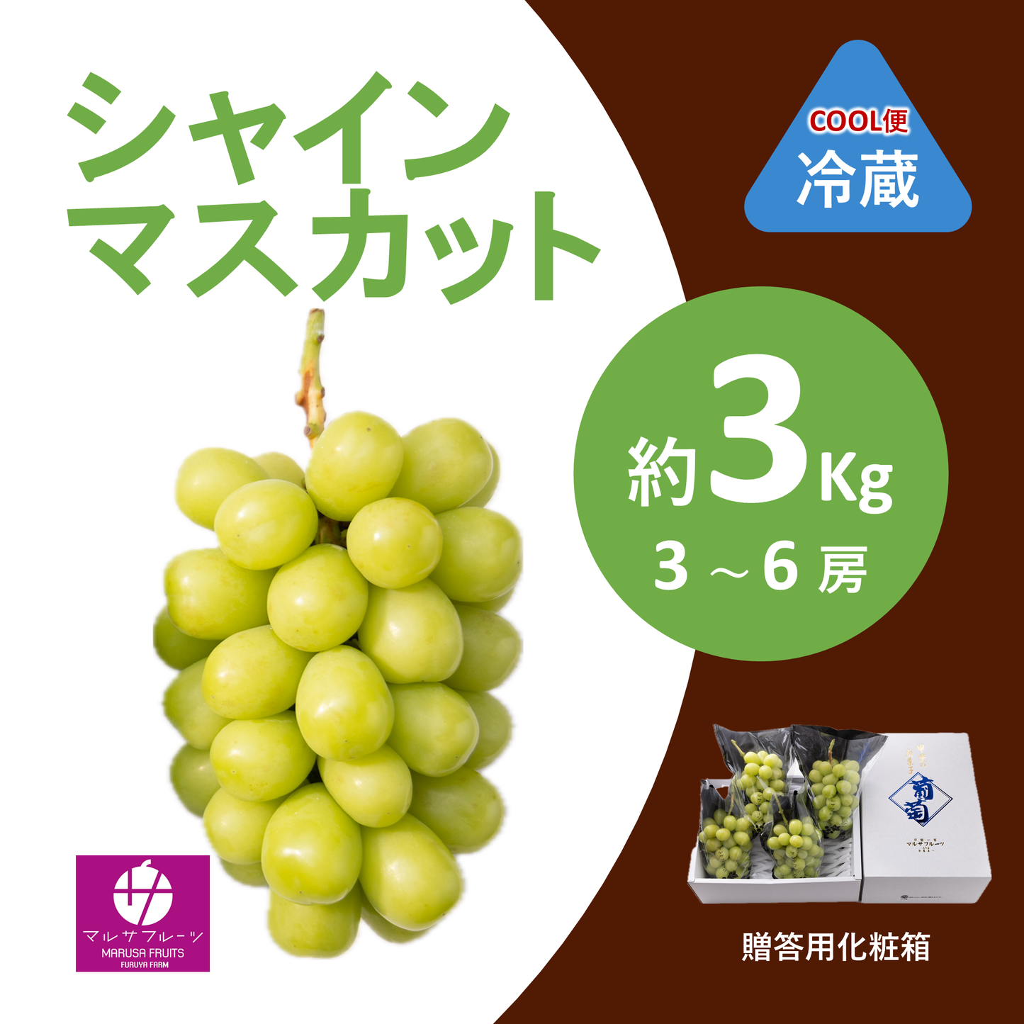 2026年産 シャインマスカット 約3kg（3〜6房）クール便 贈答用化粧箱