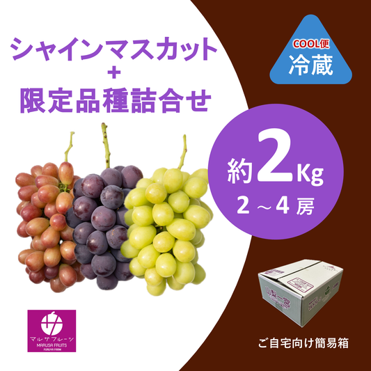 2026年産 シャインマスカット+限定品種詰合せ 約2kg（2〜4房）クール便 簡易箱