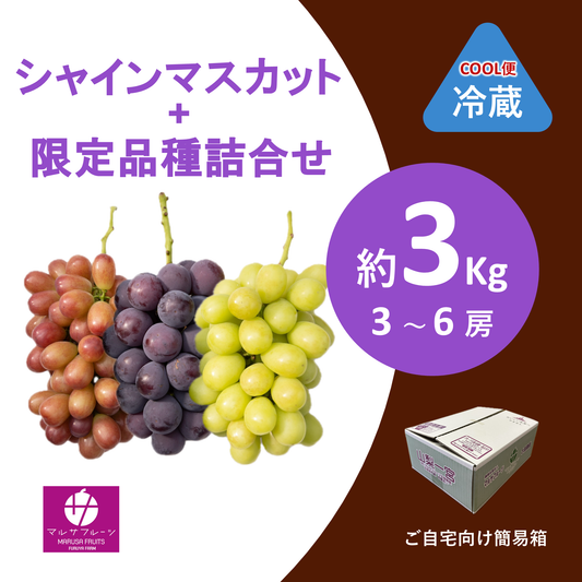 2026年産 シャインマスカット+限定品種詰合せ 約3kg（3〜6房）クール便 簡易箱