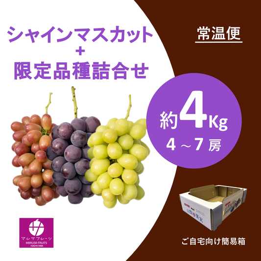 2026年産 シャインマスカット+限定品種詰合せ 約4kg（4〜7房）常温便 簡易箱