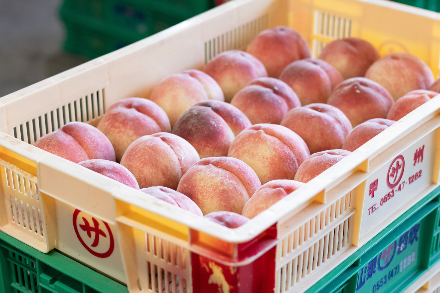 2026年産 山梨一宮の桃 約2kg（大玉5〜6玉）クール便 簡易箱